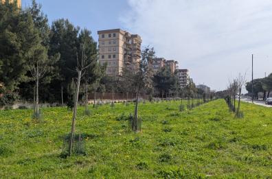 Bari, a Japigia è nato un bosco urbano dedicato alle vittime del Covid