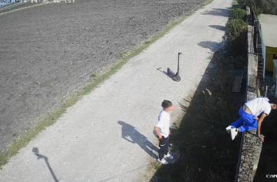 Ruba un cane dal rifugio di San Severo insieme a un complice: minorenne rinviato a giudizio