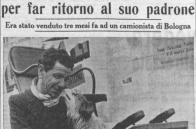Attraversò l'Italia per tornare a Bari dal suo padrone: nel marzo del 1954 la favola di Fiorino