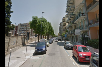 Andria, gli alberi fanno spazio alla ciclabile: è polemica per le piante sacrificate in via Vaccina