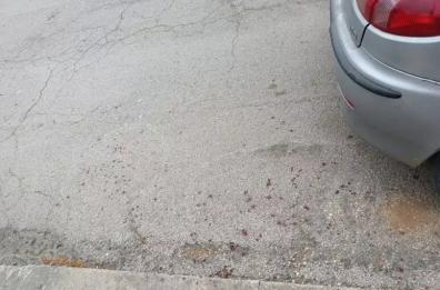 Ragazzo ferito alla testa con una pietra a Palagiano, si indaga
