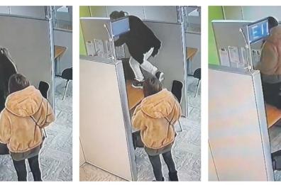 Bari, irruzione negli uffici dell’Arca: condannate le due donne che scavalcarono il desk e minacciarono i dipendenti