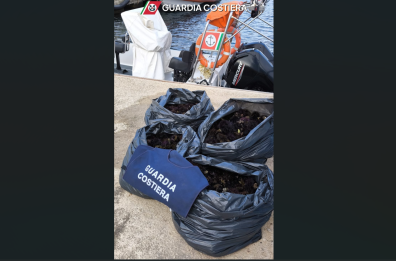 Pesca illegale di ricci a Lido Conchiglie e un sub con le bombole a caccia a Torre Suda: multe della Guardia Costiera