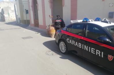 Lucugnano, arrestati 54enne e la sua convivente 33enne: tentato furto e resistenza a pubblico ufficiale
