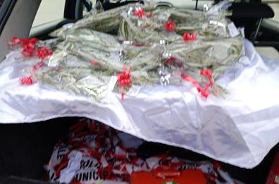 Taranto, venditori abusivi di palme: scattano i sequestri della polizia locale