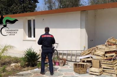 Galatina, costruisce tre case in area vincolata senza permesso: denunciato 41enne