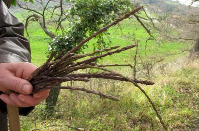Alla ricerca di asparagi cade in dirupo, 50enne salvato dai vigili del fuoco a Noci