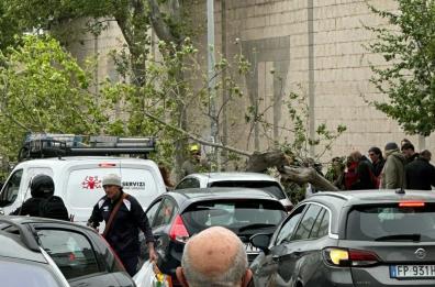 Il vento di burrasca flagella la Puglia: alberi caduti anche in centro a Bari, due feriti. Spazzata via la frutta dagli alberi. 5 aerei dirottati a Brindisi