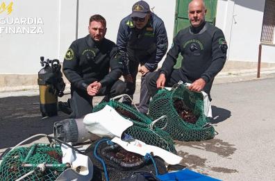 Puglia, Gdf sequestra in un mese due tonnellate di pescato irregolare: 80 soggetti sanzionati per 250mila euro