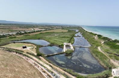 Puglia, il ruolo delle dune costiere: «Un patrimonio da tutelare»