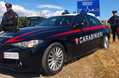 Martina Franca, denunciati tre giovani: avevano rubato strumenti per la produzione del vino per 10mila euro