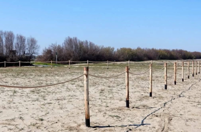 Barletta, dune costiere tutelate: rinasce la litoranea di Ponente