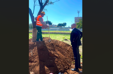 Bari, piantato il primo albero nel Parco della Rinascita sull'area Ex Fibronit