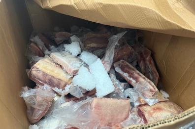 Monopoli, guardia costiera scopre grossista con pesce senza tracciabilità: sequestrata una tonnellata di prodotto 