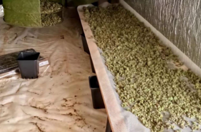 Gravina, avevano creato un laboratorio di 200mq per produrre cocaina: arrestati tre cittadini albanesi 