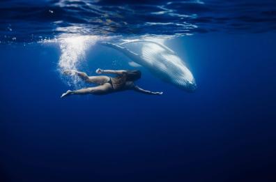 Da Bari alla Polinesia, la storia di Francesca: la ragazza che nuota con le balene