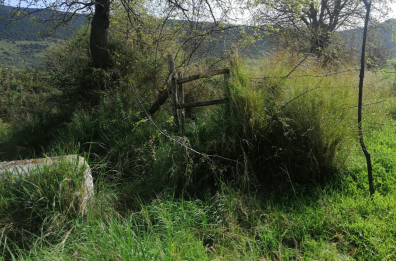 Via Francigena Micaelica foggiana impraticabile, la denuncia: «Strade interrotte, segnali assenti»