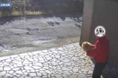 Ruba un volpino dal giardino di una casa a Manduria: padroni disperati, 59enne rintracciato e denunciato