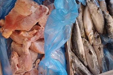 Lecce, 29 chili di carne e pesce in un freezer sporco e senza etichette: sequestrati