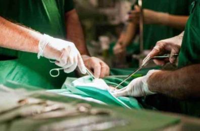 «La garza dimenticata nella pancia durante il parto cesareo». La Procura di Bari: non ci sono reati