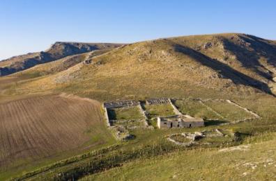 Energia dai liquami suini, il Tar smentisce il Parco dell'Alta Murgia: «Non è inquinante»