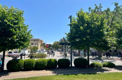 Bari, il Policlinico si riempie di piante e siepi: un «percorso verde» per migliorare la qualità dell’ambiente 