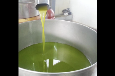 Extravergine a prova di contraffazione: nasce il nuovo olio di «Terra d’Otranto»