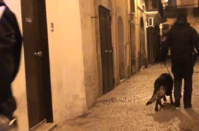 La faida tra i clan Parisi e Strisciuglio, via all'udienza preliminare: Monti chiede l'abbreviato