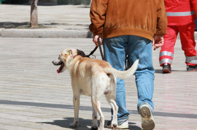 Martina, multe ai proprietari di cani che non ripuliscono i «bisogni»