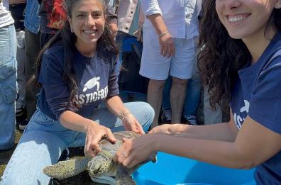 A Castro tornano in mare quattro tartarughe salvate da Plastic Free Onlus