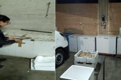 Barletta, sequestrata una tonnellata e mezzo di pesce senza tracciabilità