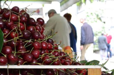 A Conversano e a Turi il «ponte» del 2 giugno nel segno di «sua maestà la ciliegia»