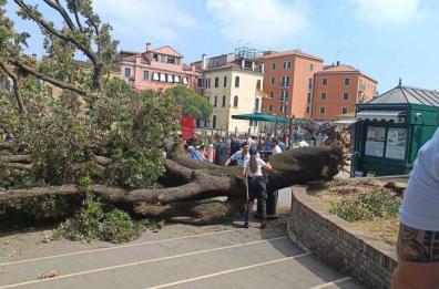 «Noi, salvi per miracolo»: a Venezia una famiglia pugliese ferita sotto l'albero crollato