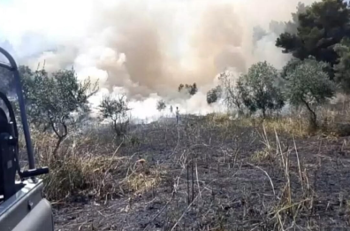 Paura a Vieste, le fiamme divorano il bosco in periferia: chiesto supporto aereo