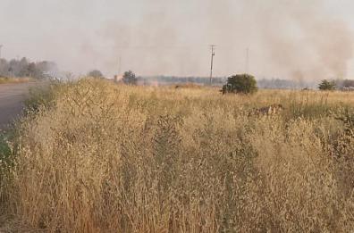 Casarano, rogo nei pressi della zona industriale