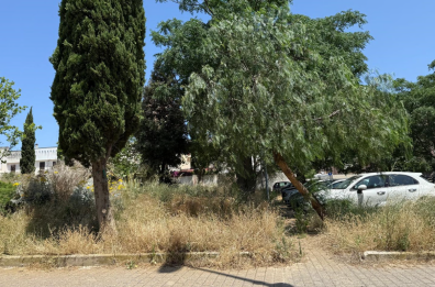 Lecce, per erba e sterpaglie è allarme in tutta la città e nelle marine