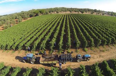  Ecco cosa fare in Puglia e Basilicata nel weekend dal 13 al 15 giugno