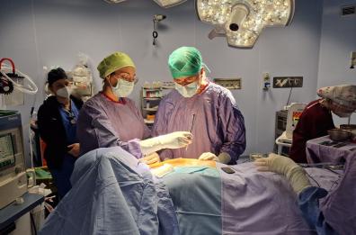 Bari, rimosso raro tumore al seno su una paziente di 58 anni: in tre mesi era arrivato a due chili