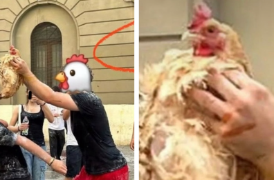 Liceo Scacchi, a Bari per l'ultimo giorno di scuola lancio di galline e un pesce eviscerato. Lav: inqualificabile da chi è vicino alla maturità