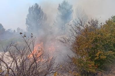 Salento, vasto incendio tra Torre Pali e Pescoluse: evacuate le abitazioni. Sul posto arrivato Canadair