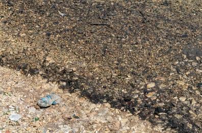 Mola di Bari, sversamento di olio in mare: interviene la Protezione civile