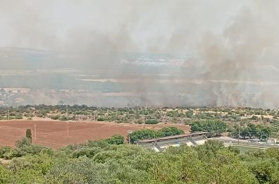 Vasto rogo nell'area a Sud di Mottola: canadair in azione. Il fumo si vede a chilometri di distanza