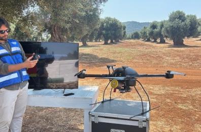 Lotta alla Xylella, monitoraggio e contrasto nel Salento con satelliti e droni