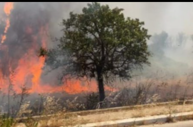 Ceglie Messapica, morì durante l’incendio: «L'elmetto era insufficiente»