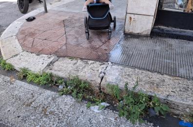 Bari, degrado tra via Zanardelli e via Bertolini: i bisogni del cane davanti ai negozi, il proprietario lascia perfino il sacchetto pieno