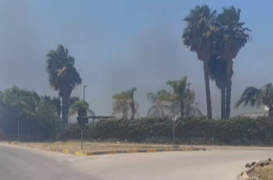 Leporano, scoppia un vasto incendio nelle campagne: le fiamme rischiano di raggiungere il centro