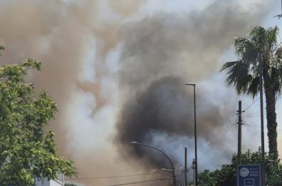 Domenica di roghi in Salento: a Casarano a fuoco il «Canalone», bruciati ettari di macchia mediterranea. Fiamme anche a Salve 