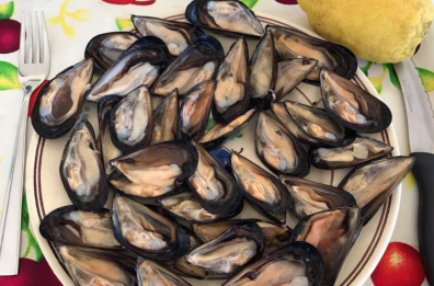 Taranto, cozze a rischio diossina e Pcb: nei guai mitilicoltori e ristoratori