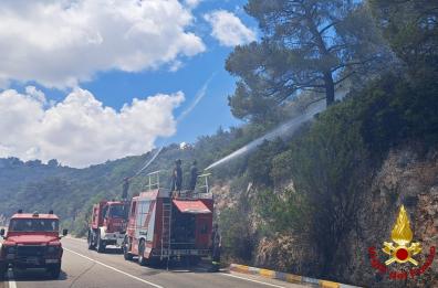 Monopoli, brucia la macchia mediterranea: chiusa la Sp13  in entrambe le direzioni FOTO/VIDEO 