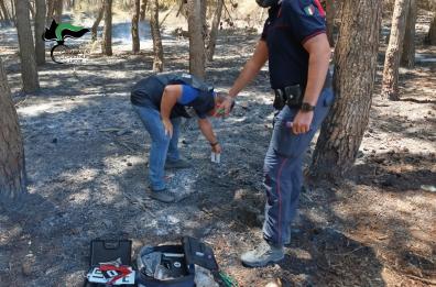 Otranto, più di 150 ettari di macchia mediterranea in fiamme nella notte: indagini in corso. Il vento riaccende i roghi